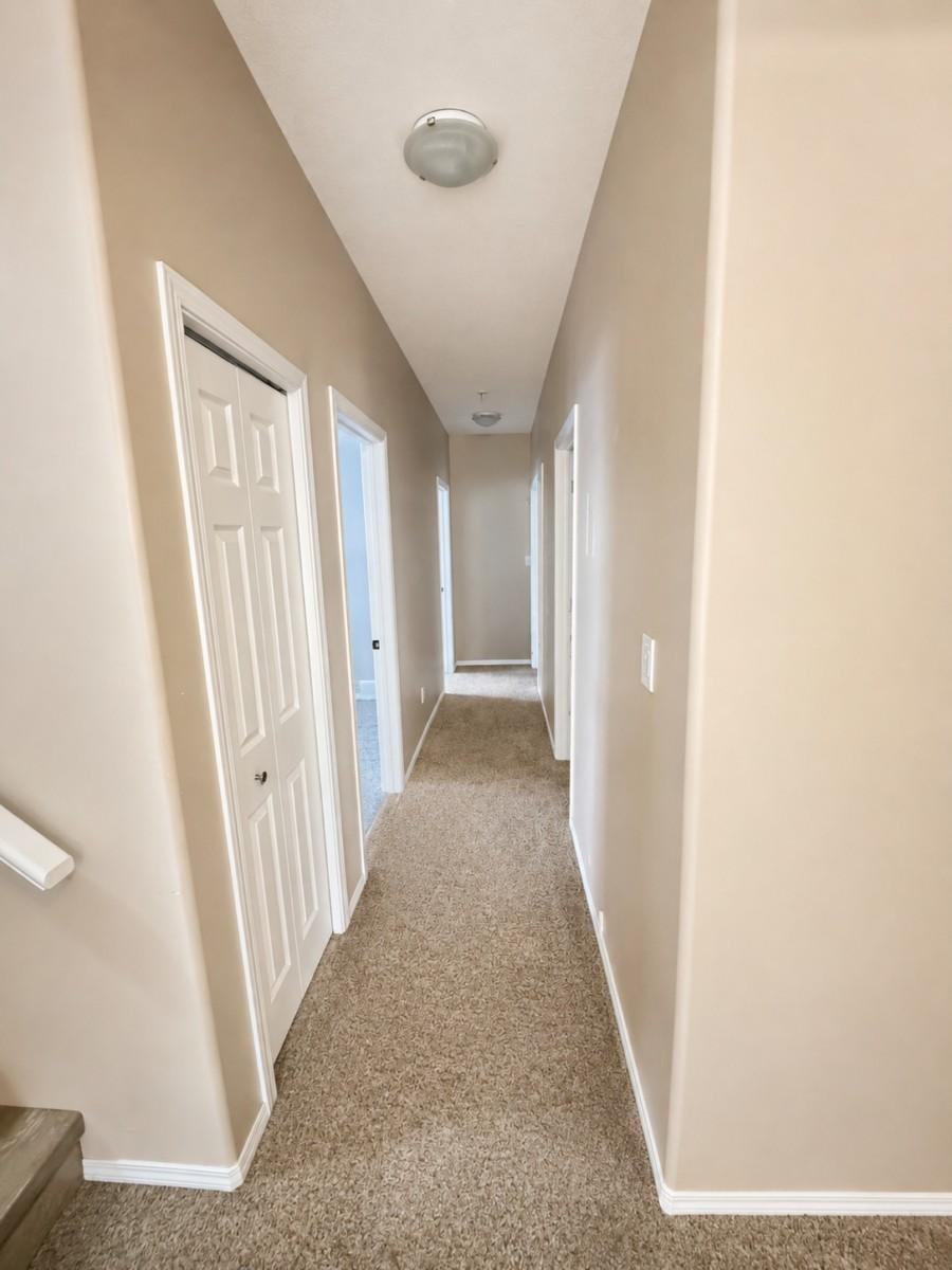 Mayfair Semi-Detached
